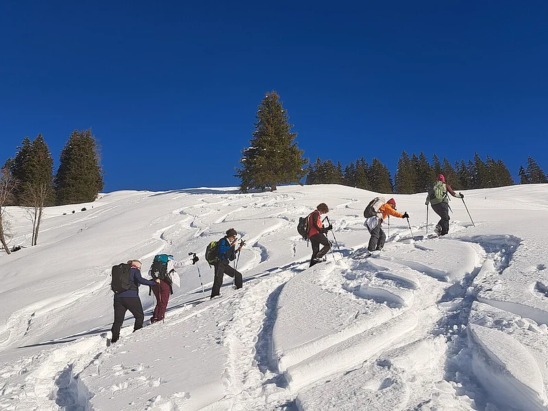 Schneesport, Schneeschuhlaufen, Skifahren | Lara Mandioni Schneesport, Schneeschuhlaufen, Skifahren | Lara Mandioni